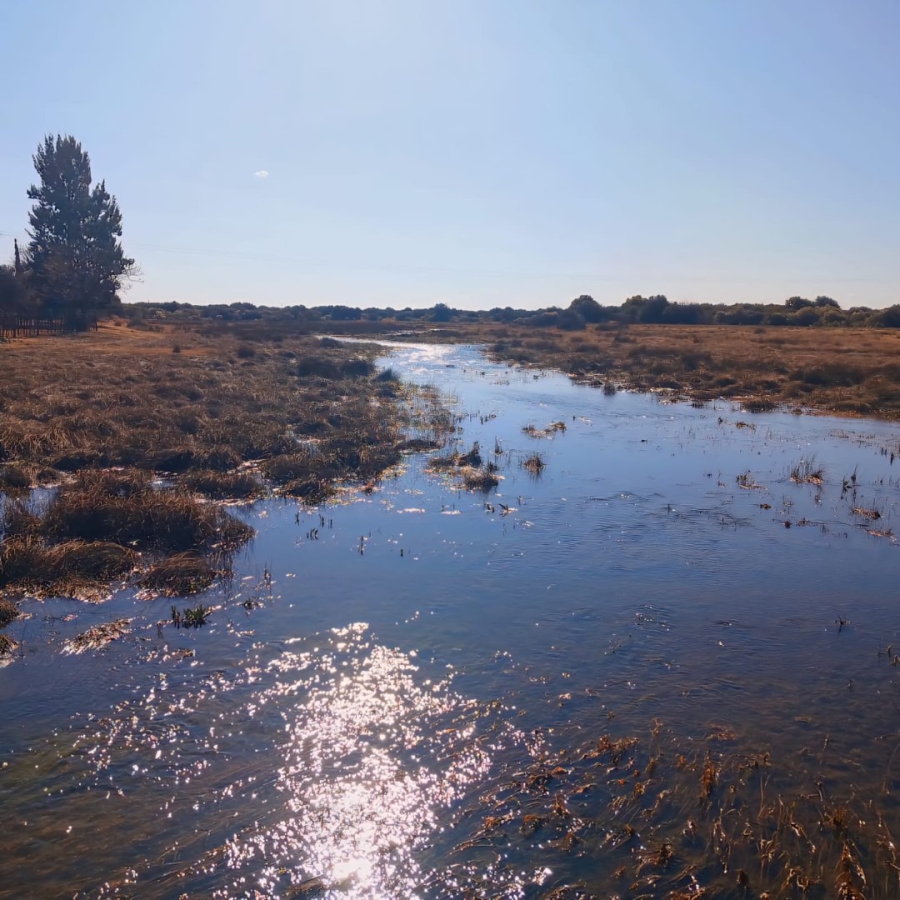 Commercial Property for Sale in Reivilo Northern Cape